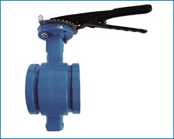 Grooved ene butterfly valve