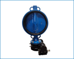 wafer type butterfly valve