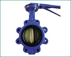 lug type butterfly valve