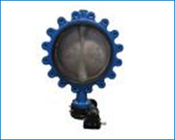 lug type butterfly valve