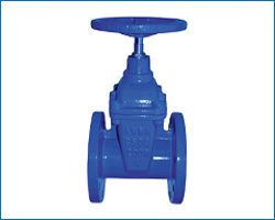 resilient seat gate valve