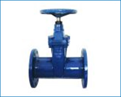 DIN sesilient seat gate valve NRS