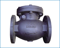 MSS swing check valve