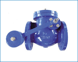 DIN swing check valve