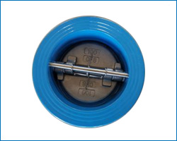 Dual plate check valve